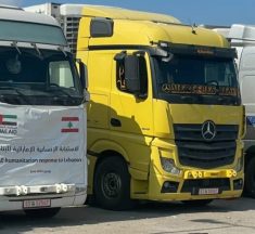 وصول أول دفعة من المساعدات الإماراتية إلى لبنان عبر 29 شاحنة لدعم المتضررين